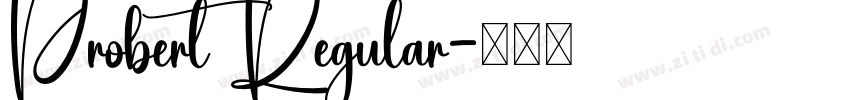 Probert Regular字体转换